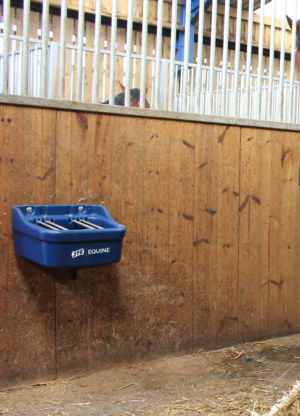 Standard Foal Feeder (Blue) attached to wooden wall