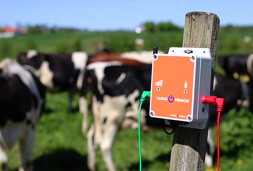 Fence Alarm Installed on fence post