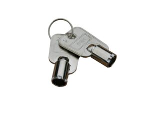 Keys For MS001 - Set of 2