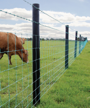 2g polyethylene solid strainer fence posts installed with electric fencing